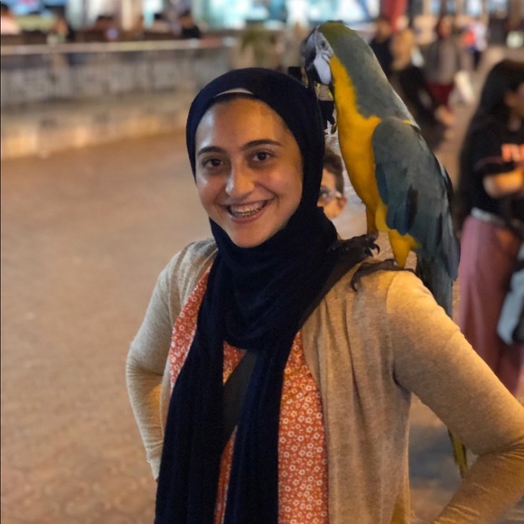 Meet your Posher, Toka - Picture 1 of 1